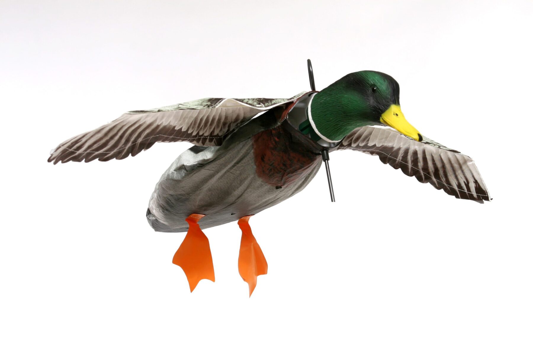 Duck Decoys 