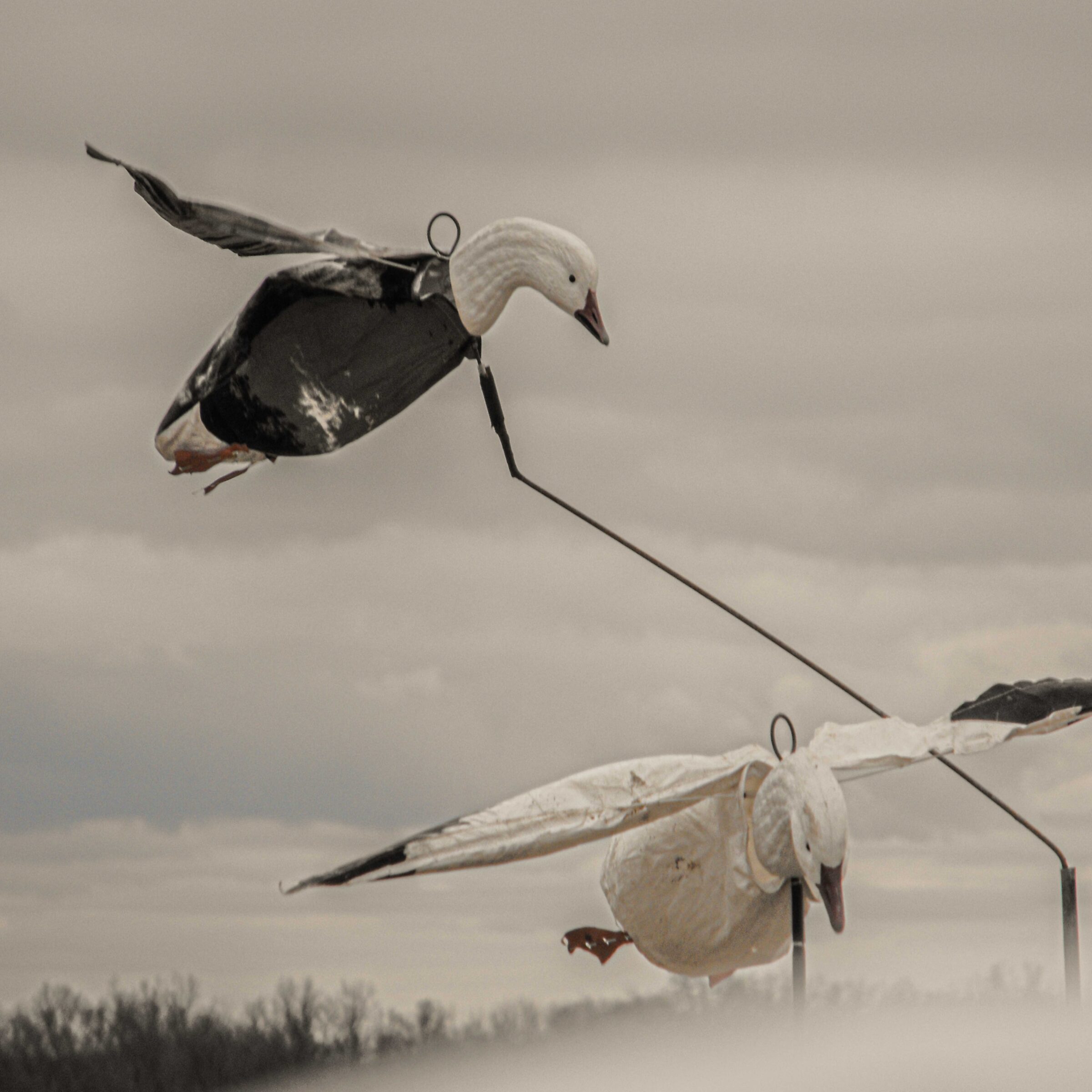 Blue Goose Flyer Decoys - Image 5