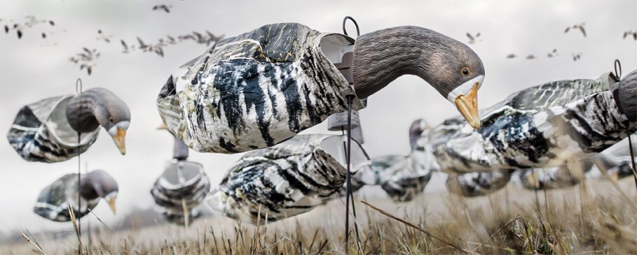 Feeder Specklebelly Decoys - Image 2