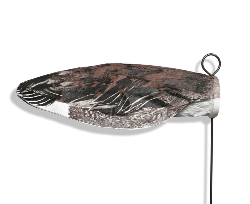 Headless Pintail Duck Decoys