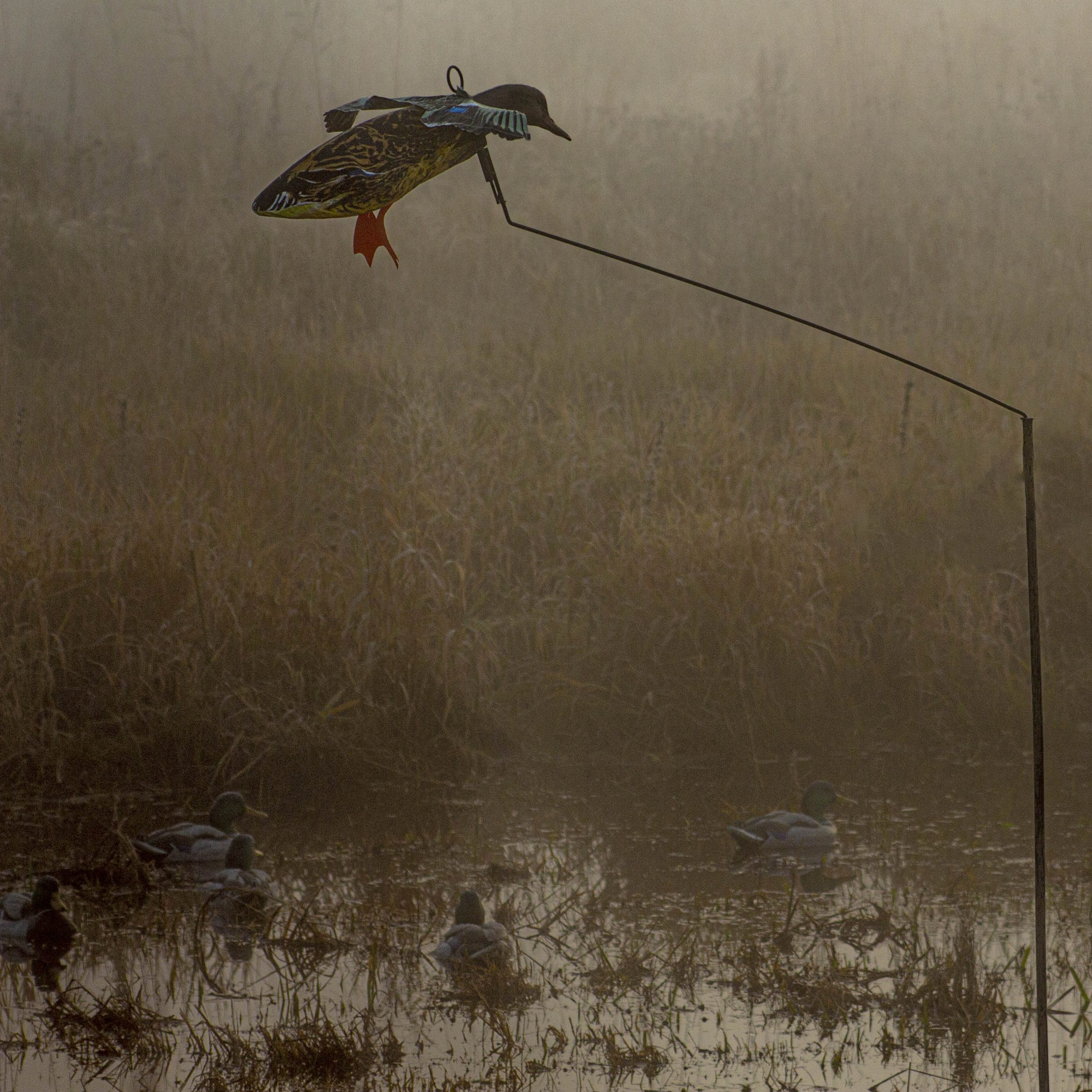 Hen Mallard Flyer Decoys - Image 7