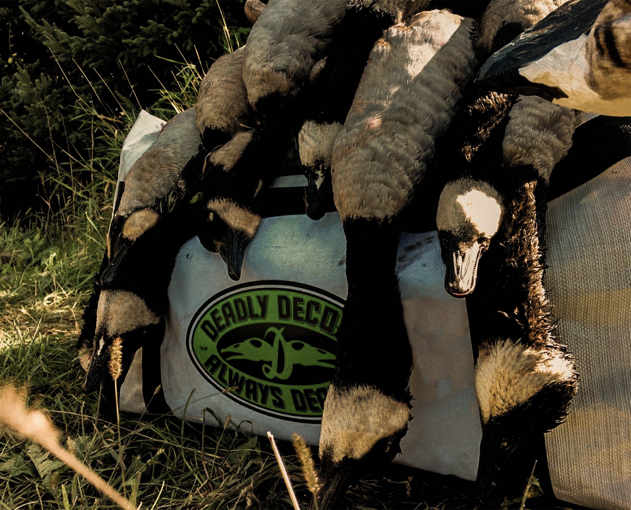 Windsock Decoy Bag with honkers
