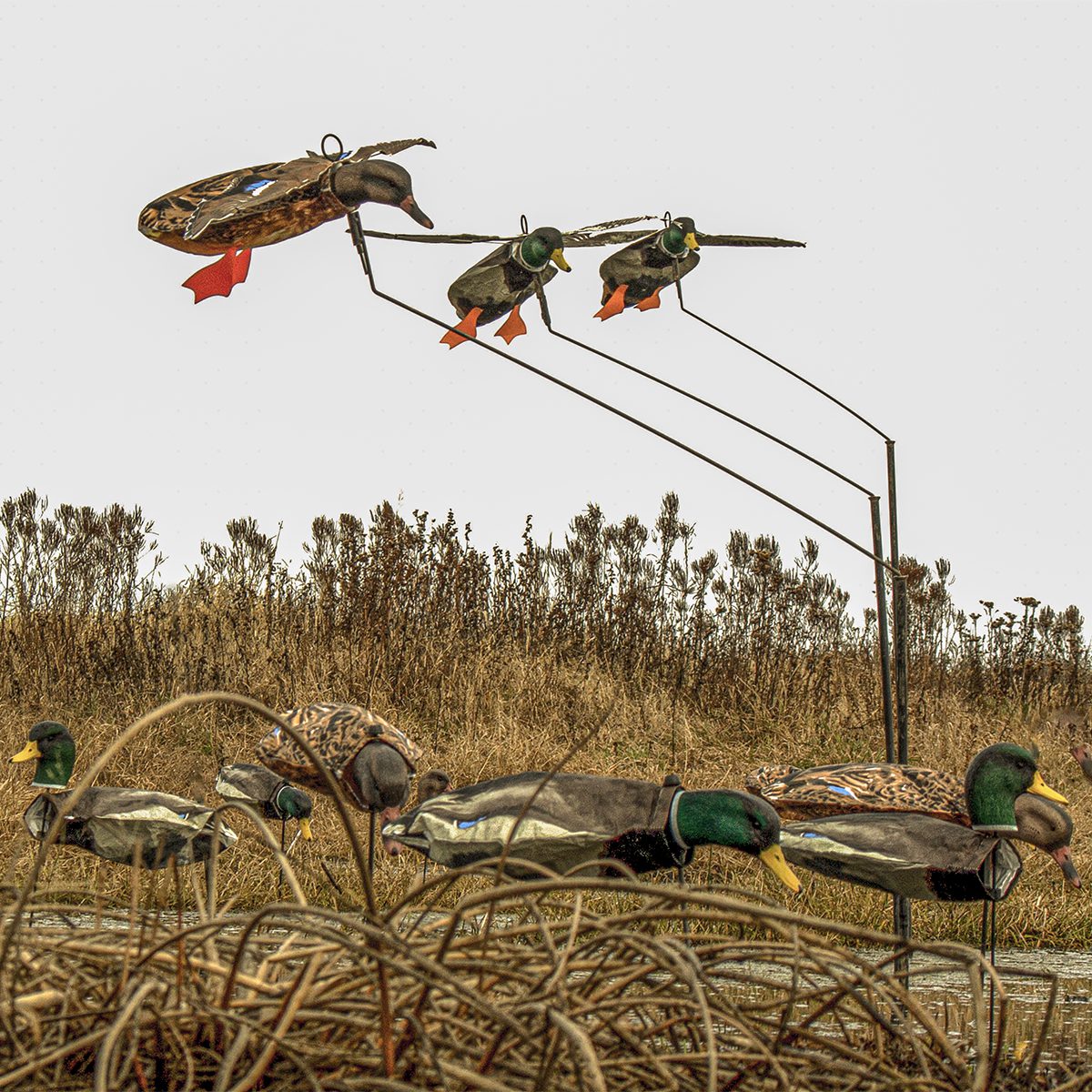Hen Mallard Flyer Decoys - Image 5
