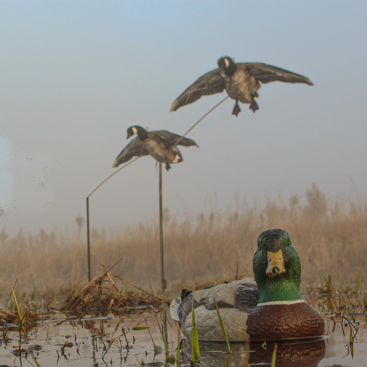 Canada Goose Flyer Decoys - Image 8