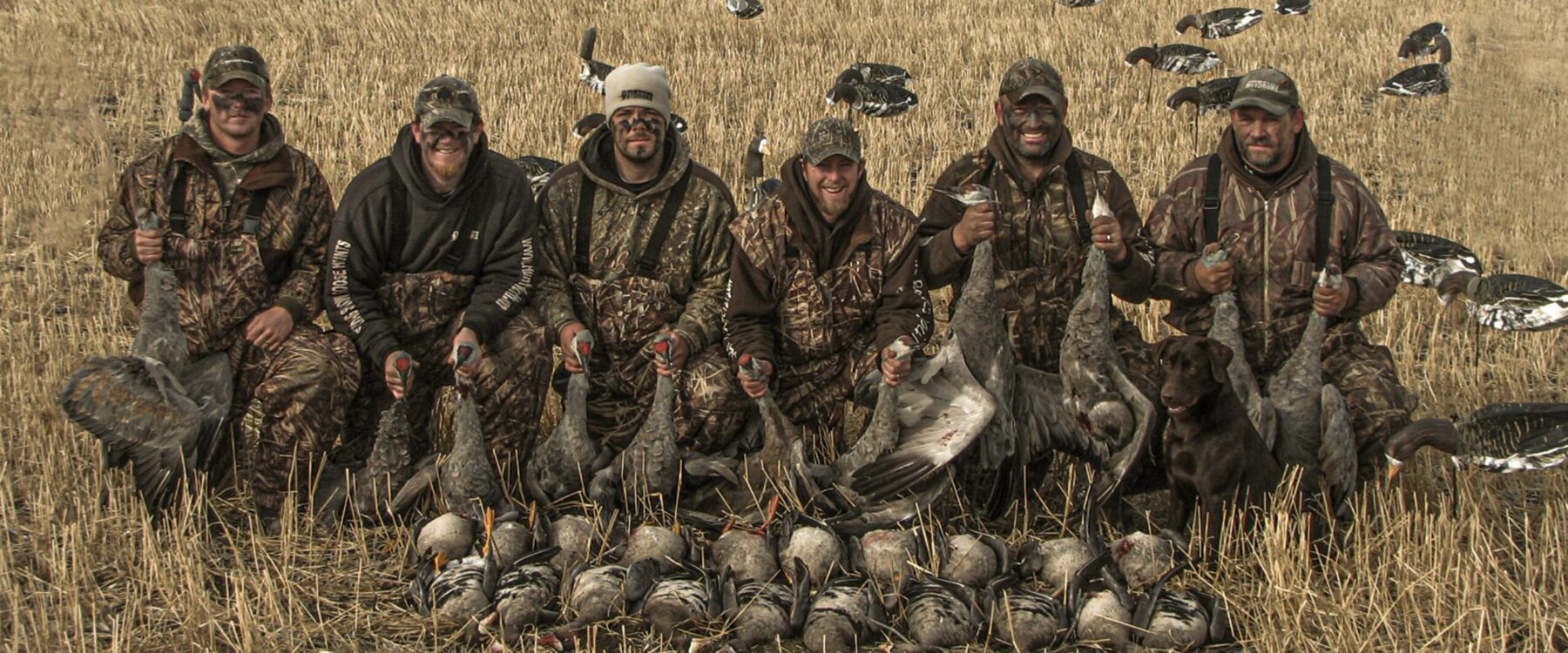 Feeder Specklebelly Decoys - Image 6