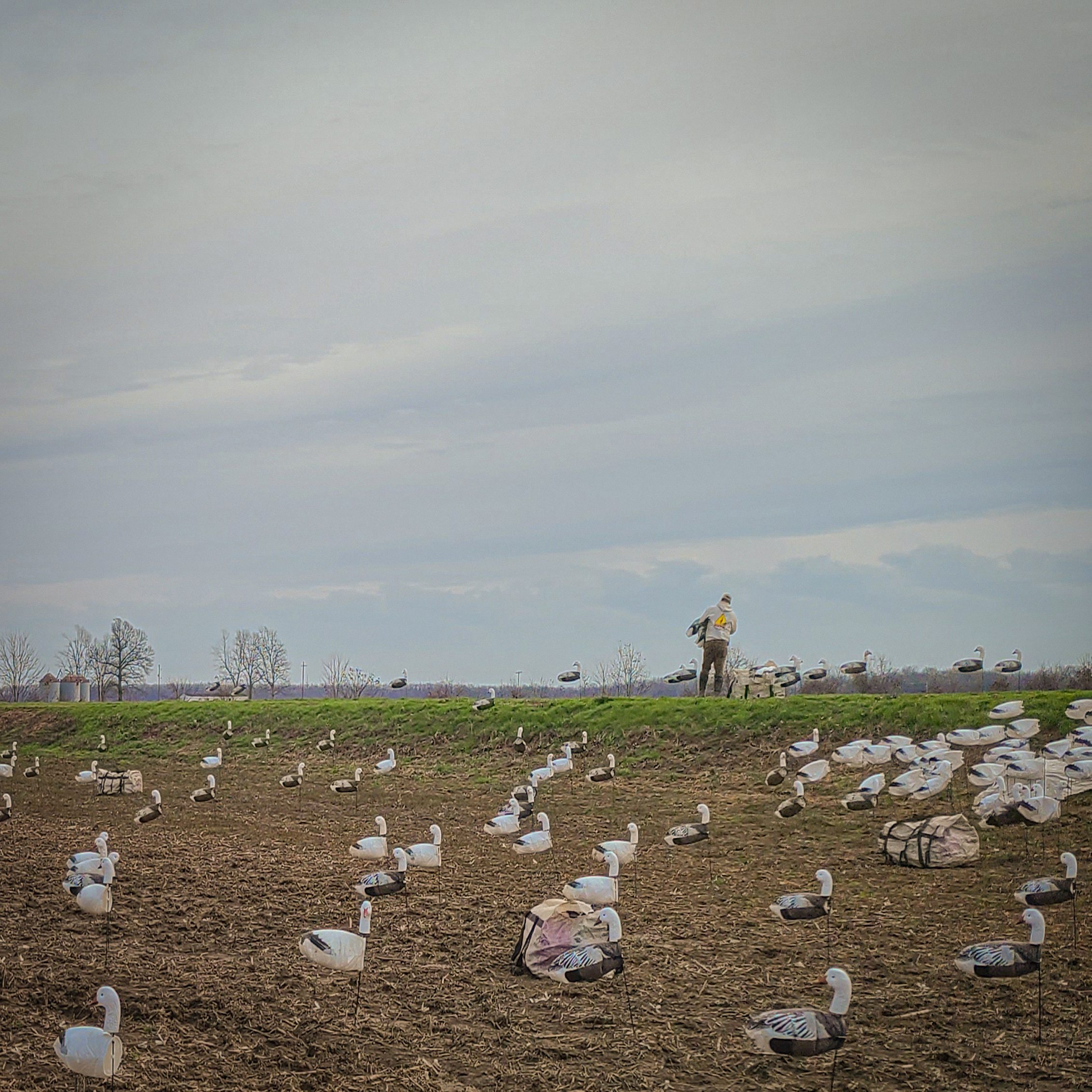 Windsock Decoy Bag - Image 8