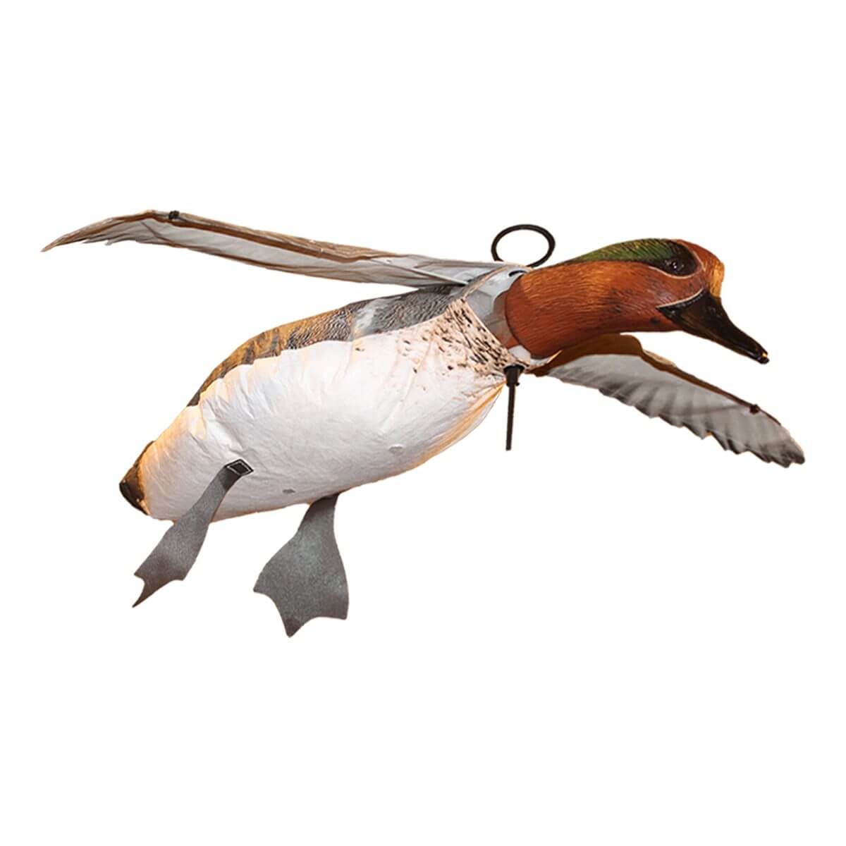 Green Wing Teal Flyer
