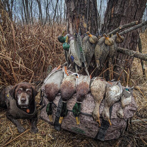 Texas Rig Decoy Anchors—Deadly Rigs™ 4 oz - Non-Lead